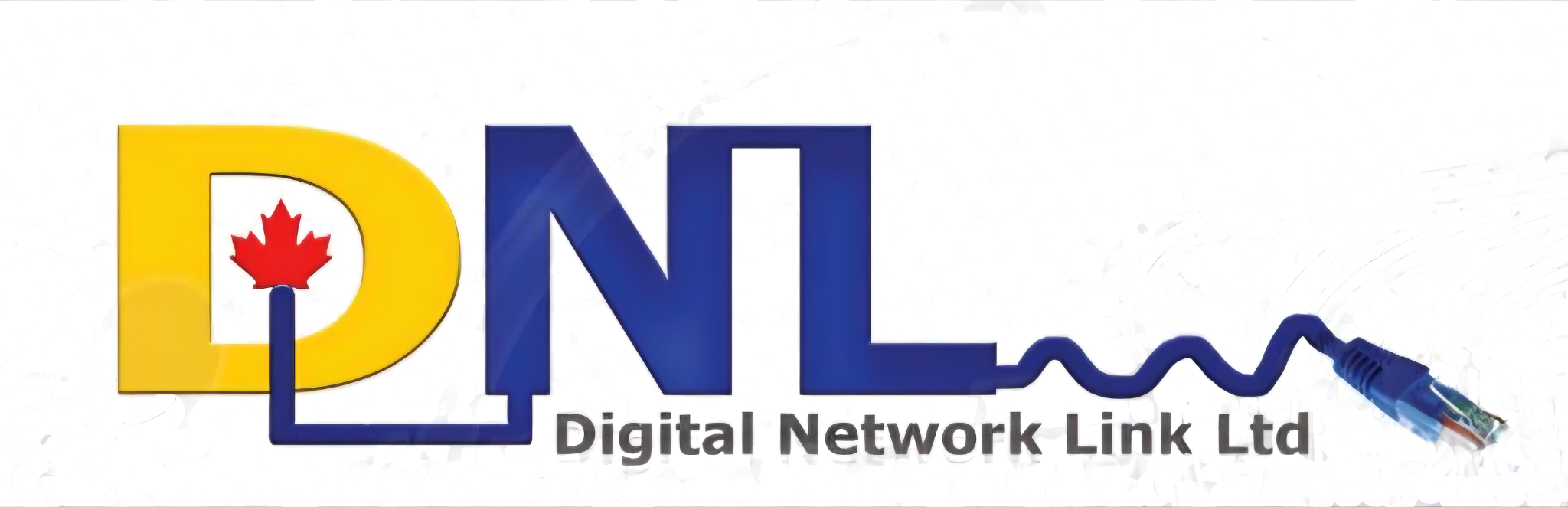 Digital Network Link Limited logo